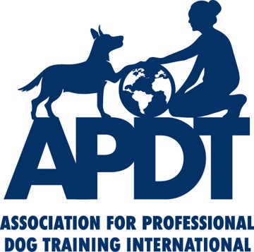 APDT International logo