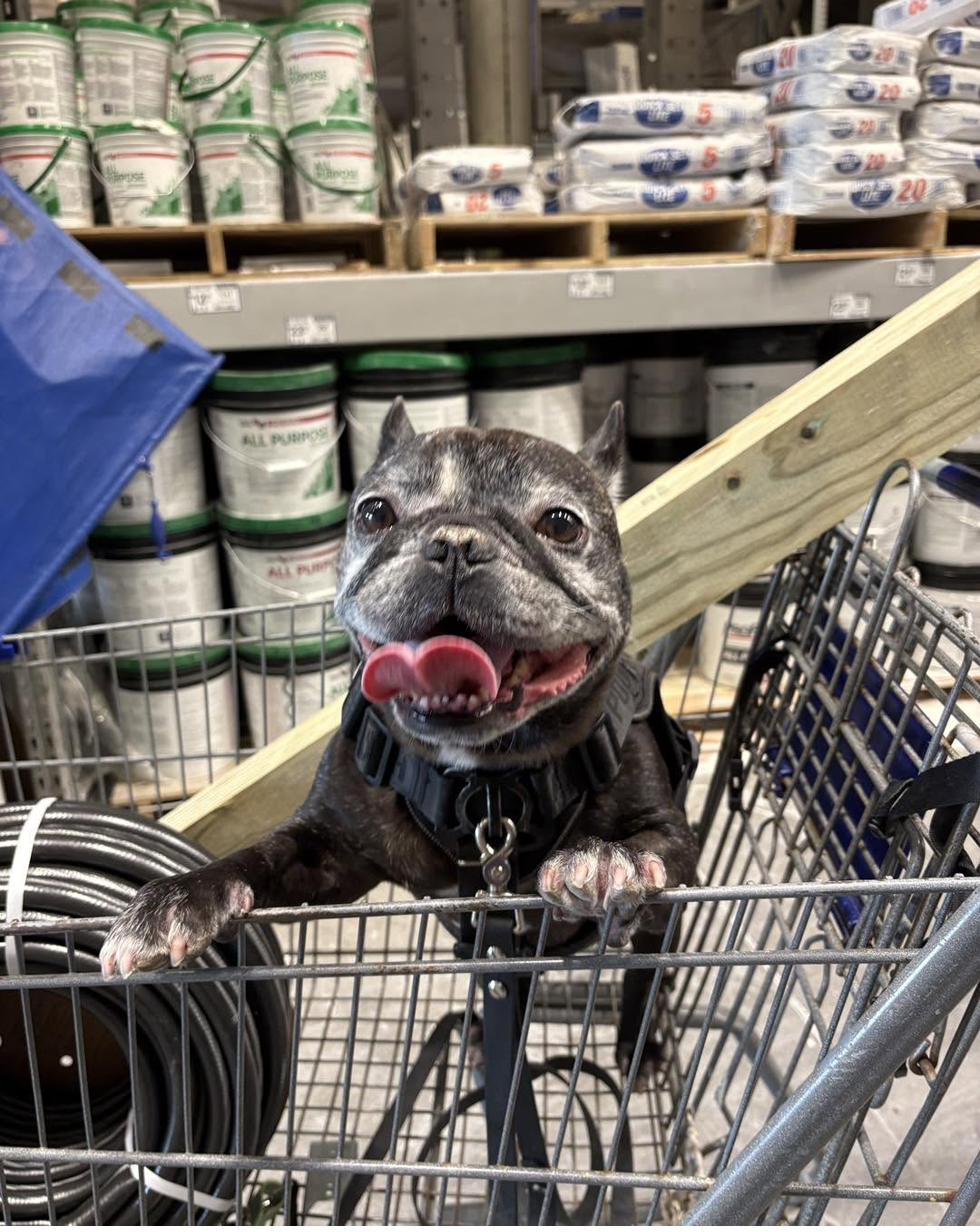 Louis at the hardware store