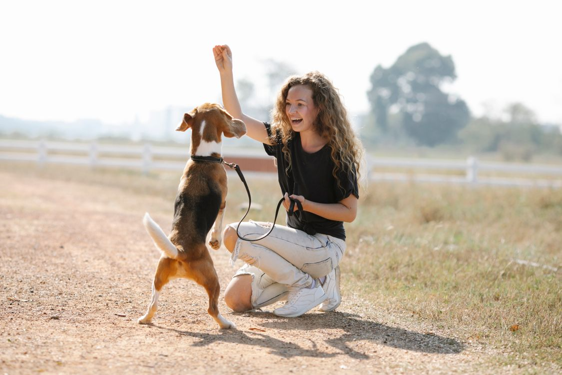 Owner celebrating a successful recall with her dog